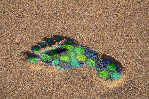 footprint graphic